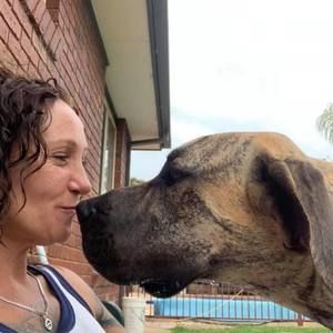 Meet your Posher, Kelly